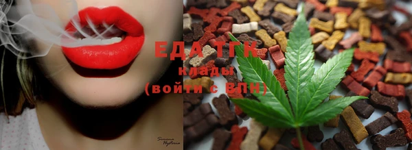 прущие грибы Армянск