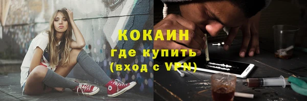 дживик Аркадак