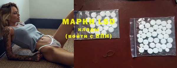 гашик Арсеньев