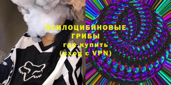 прущие грибы Армянск
