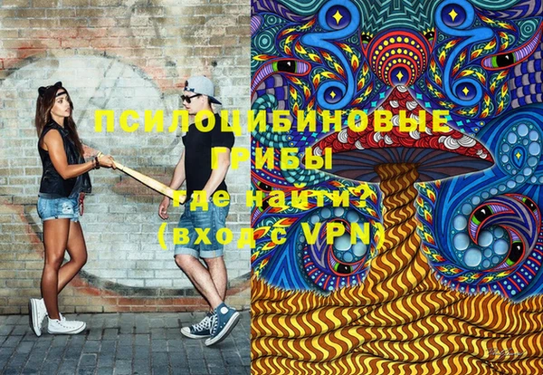 прущие грибы Армянск
