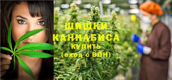 прущие грибы Армянск