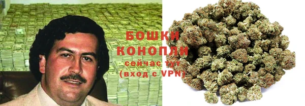 гашик Арсеньев