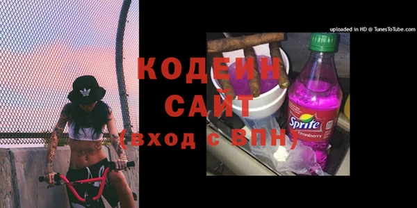 гашик Арсеньев