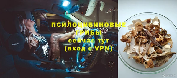 прущие грибы Армянск