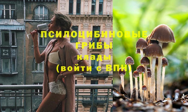 дживик Аркадак
