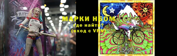 прущие грибы Армянск
