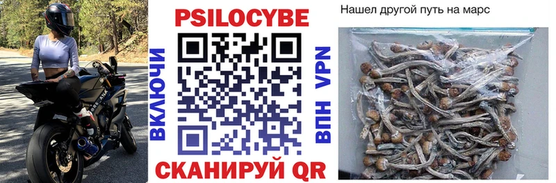 Галлюциногенные грибы прущие грибы  Советский 